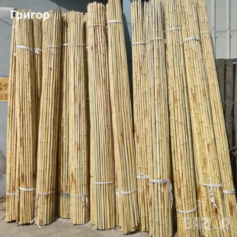 Бамбукови колчета на ТОП ЦЕНА!, снимка 2 - Други стоки за дома - 53679977