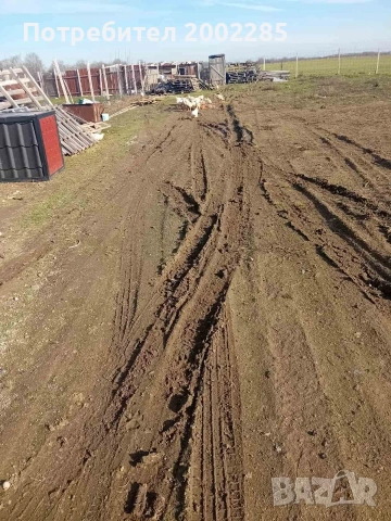 пилета росс 308 бройлери, снимка 3 - Кокошки и пуйки - 53267753