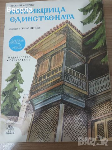 Копривщица единствената , снимка 1 - Детски книжки - 46422927