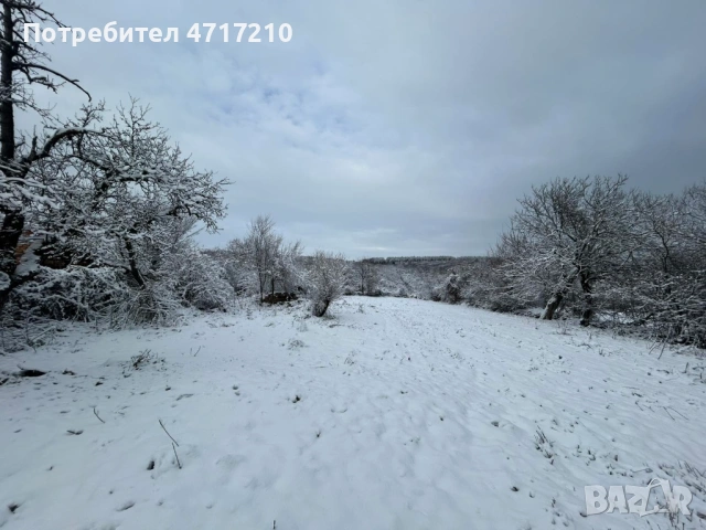 ПРОДАВА имот в с. Бресте, общ. Червен Бряг – 2500 кв.м., ДВЕ КЪЩИ, два двора, снимка 14 - Къщи - 53324328