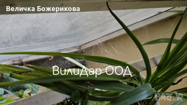 Почистване , снимка 6 - Почистване на домове - 51791355