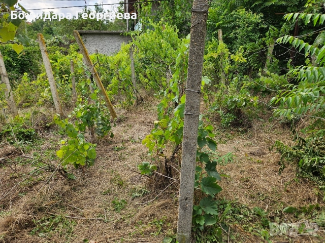 къща в с. Побит камък , снимка 6 - Къщи - 51459144