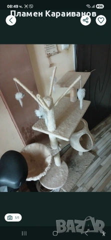 Продавам котешка катерушка, снимка 2 - За котки - 53092631