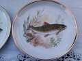 Рибен сервиз - Югославия !, снимка 4