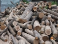 Сухи дърва – нарязани и нацепени, снимка 3