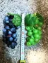 грозде декоративно, снимка 2