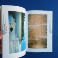 Книги за изкуство: Българска живопис след 1989, снимка 2 - Специализирана литература - 45020099