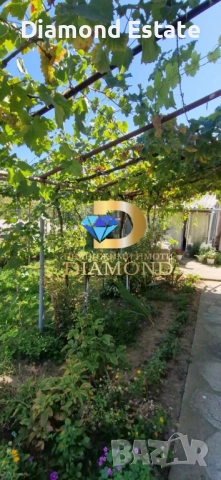 Едноетажна къща в село Книжовник, обл. Хасково, снимка 11 - Къщи - 52115038