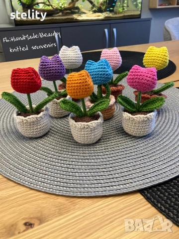 Цветя в саксийка, снимка 4 - Декорация за дома - 53376983