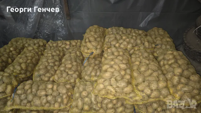 Продавам Картофи, сорт Сорая (Страхотно качество), снимка 1 - Домашни продукти - 48627323