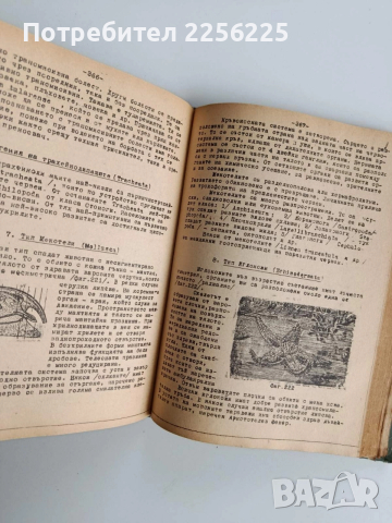 Биология 1956г, снимка 2 - Специализирана литература - 52678074