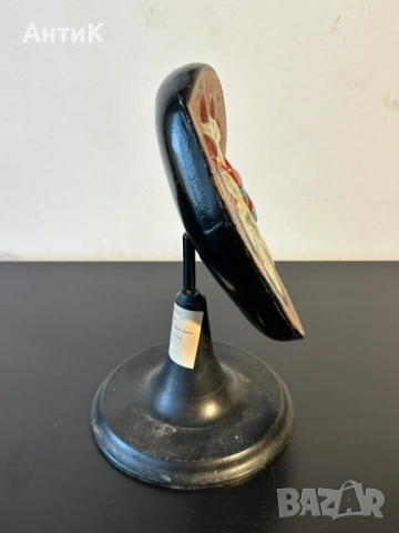 Соц Учебен Анатомичен Модел на Бъбрек, снимка 2 - Антикварни и старинни предмети - 53956401