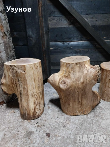  Дъбови Трупчета за месо и кокали, снимка 10 - Други - 52490951