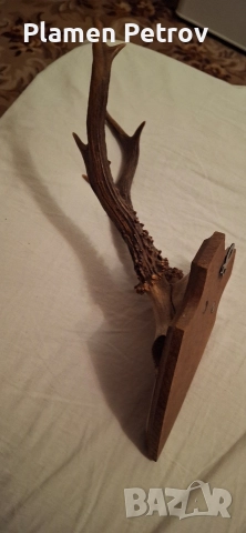 Кулие +гривна и ваза и роги , снимка 18 - Гривни - 27173851