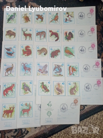 Пълен лот 27 бр. Илюстровани пощенски пликове "Експо '81" - Световно ловно изложение