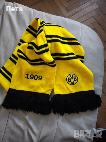 Борусия Дортмунд, шал