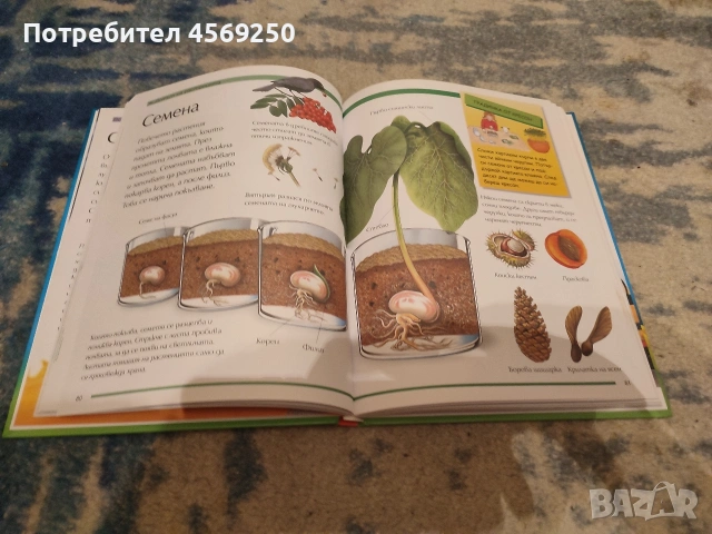 Голяма детска енциклопедия – богато илюстрирана, като нова 📚, снимка 2 - Художествена литература - 54203123