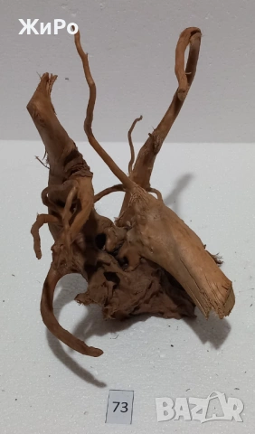 Корен от Азалия /декорация/ 73, снимка 3 - Други - 54102565