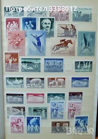 Класьор с марки България 1949/60 г., снимка 7 - Филателия - 45324626