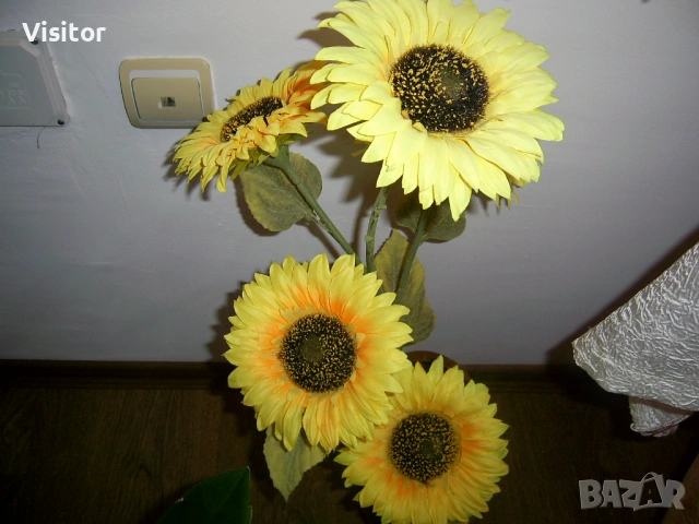 дигитален фотоапарат Praktica DCZ 6.3, снимка 15 - Фотоапарати - 53423195