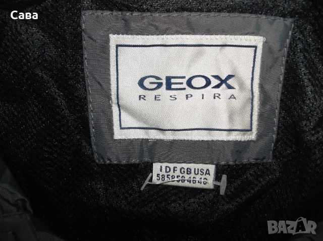 Яке пролет,есен  GEOX  мъжко,ХЛ