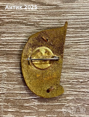 Винтидж значка „ВСХВ“ СССР — месинг, емайл, снимка 2 - Колекции - 53643572