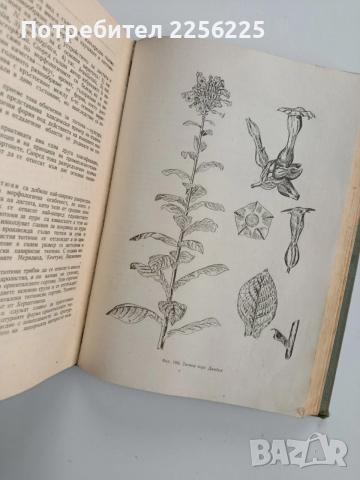 Растениевъдство 1961г, снимка 4 - Специализирана литература - 52677991