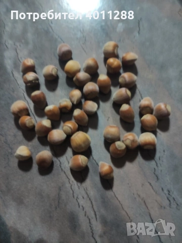 Лешници с черупка 