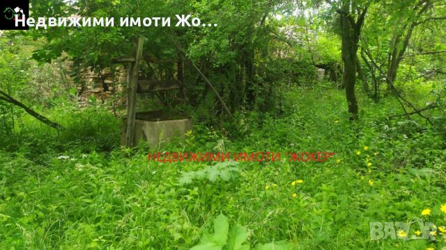 Къща с двор в село Ново село, снимка 10 - Къщи - 45875513