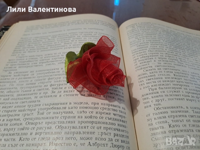 Брошки, снимка 4 - Други - 54085463