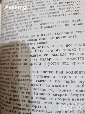Най - ниска цена!Червей под есенен вятър - Любомир Николов, снимка 3 - Художествена литература - 53750243