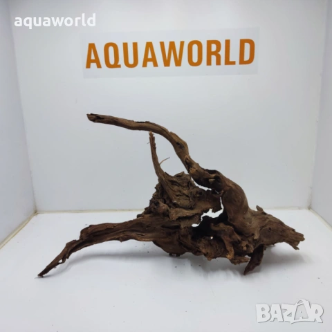 Мангров корен 4