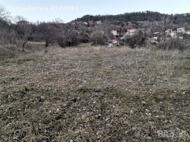 Продавам парцел, снимка 3 - Парцели - 53622882