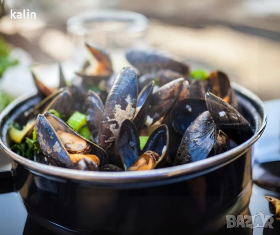 Емайлирана тенджера за миди 5 л, Ø22 см, за индукционни котлони, снимка 2 - Съдове за готвене - 51596947