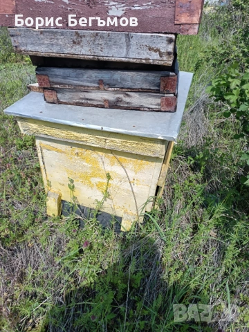 Кошери за пчели., снимка 2 - Други животни - 54258602
