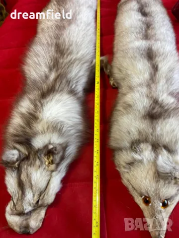 Сребърна лисица-ЯКИ- различни цветове, снимка 5 - Шалове - 50317077