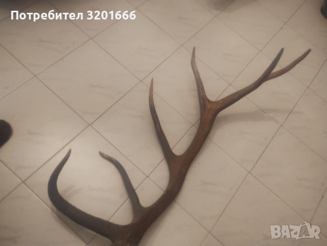 Рог от Екен