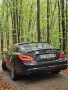 CLS 350d *F1*LSI*Memory*, снимка 2