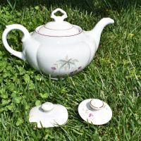 чайник и капачета , снимка 1 - Колекции - 45595052