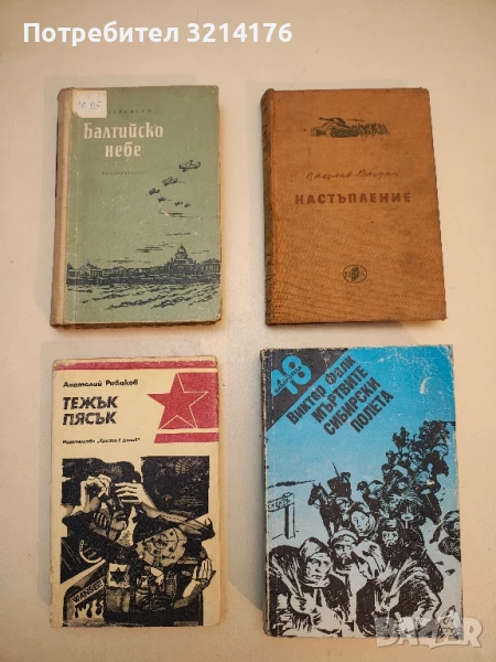 Балтийско небе - Николай Чуковски, снимка 1