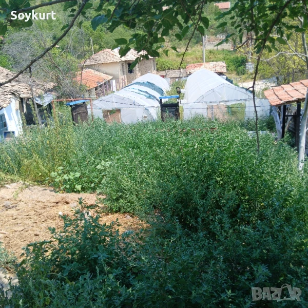 2 имота в един двор  1300М2 с 2 Оранжерии По 150м2 общо 300м2 , снимка 1