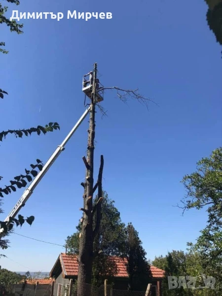 Рязане на високи опасни дървета Косене на тревни площи, снимка 1
