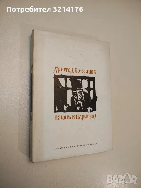 Някога в Цариград - Христо Д. Бръзицов, снимка 1