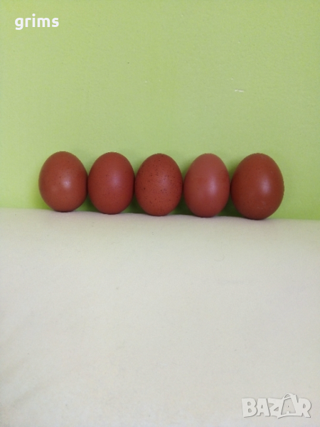 Яйца от Маран , снимка 1