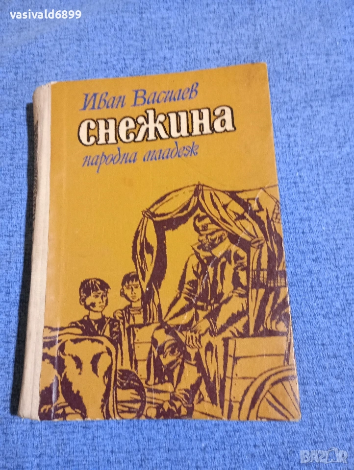 Иван Василев - Снежина , снимка 1