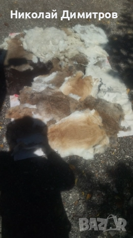 Заешки кожи обработени в кожарска за фабрика Велур . При покупка над 5 кожи безплатна доставка., снимка 7 - Други - 51549805