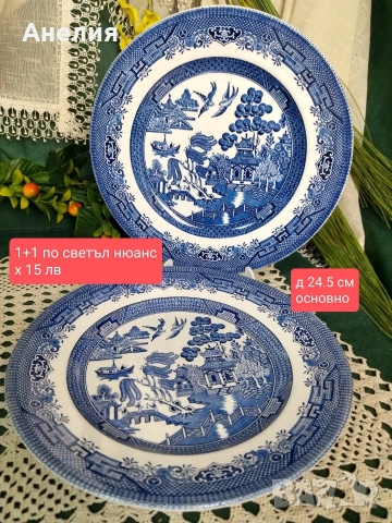 Англия синя върба , снимка 3 - Чинии - 52747300