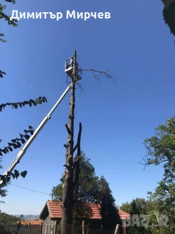 Рязане на високи опасни дървета Косене на тревни площи