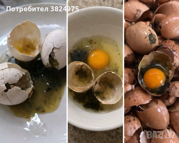  Ясновидка Мария Събирам разделени двойки – развалям магии и родови проклятия ✨, снимка 6 - Събиране на разделени двойки - 46393984