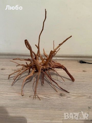 Декорация / корени от азалия, снимка 6 - Декорация за дома - 52583856